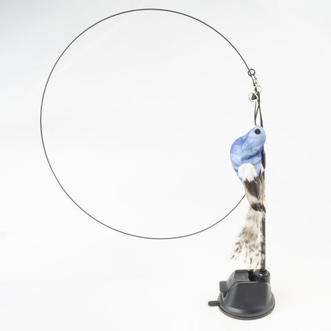 Interactive Feather Fun