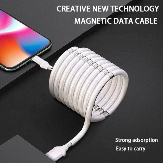 Quick Magnetic Charger